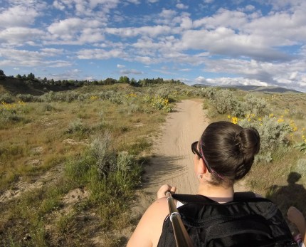 the very hungry traveler