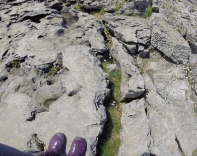 Burren Rocks